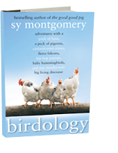 Birdology: Adventures With A Pack of Hens, A Peck of Pigeons, Cantankerous Crows, Fierce Falcons, Hip Hop Parrots, Baby Hummingbirds, and One Murderously Big Living Dinosaur