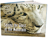 Saving the Ghost of the Mountain
