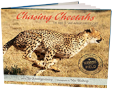 book-cheetahs Chasing Cheetahs: The Race to Save Africa's Fastest Cat