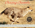 chasing cheetahs