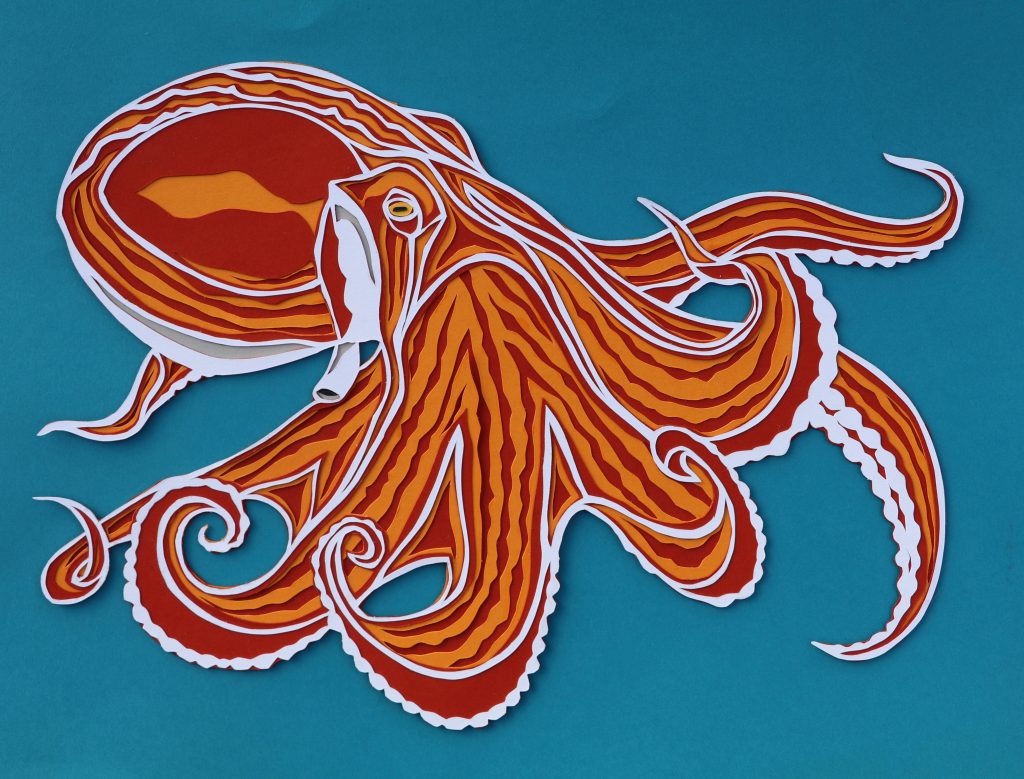 Octopus paper cut