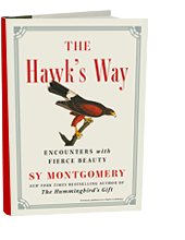 The Hawks Way: Encounters with Fierce Beauty