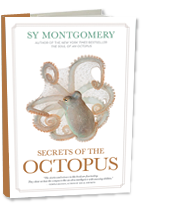 Secrets of the Octopus by sy montgomery