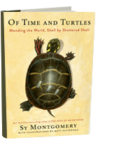of time and turtles by sy montgomery