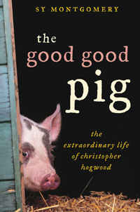 The Good Good Pig Cover