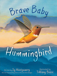 brave baby hummingbird