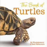 book of turtles