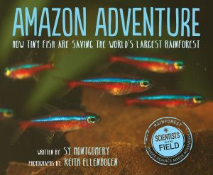 AmazonAdventure