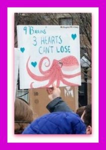 octo Protest 2